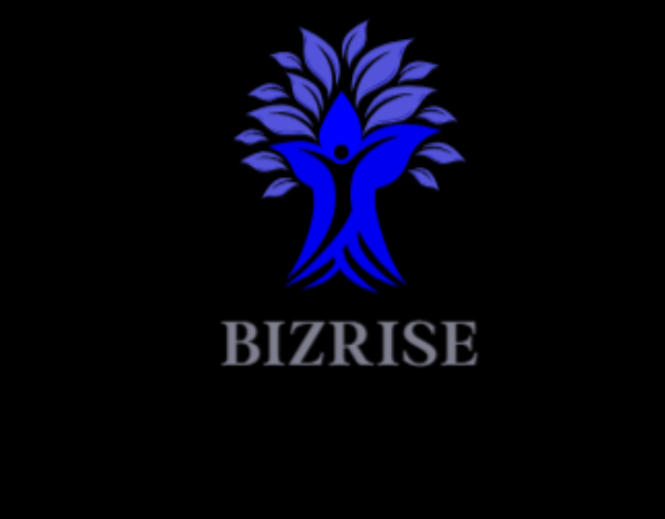 Bizrise small business website developed by Webgrow Studio